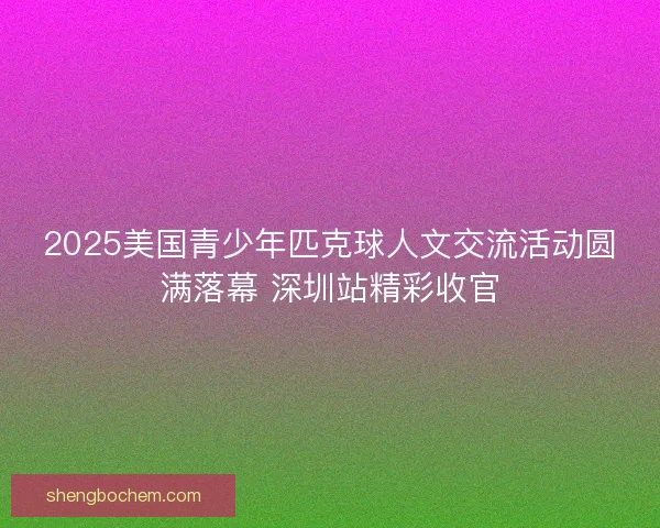 2025美国青少年匹克球人文交流活动圆满落幕 深圳站精彩收官