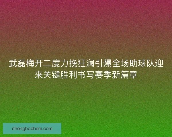 武磊梅开二度力挽狂澜引爆全场助球队迎来关键胜利书写赛季新篇章