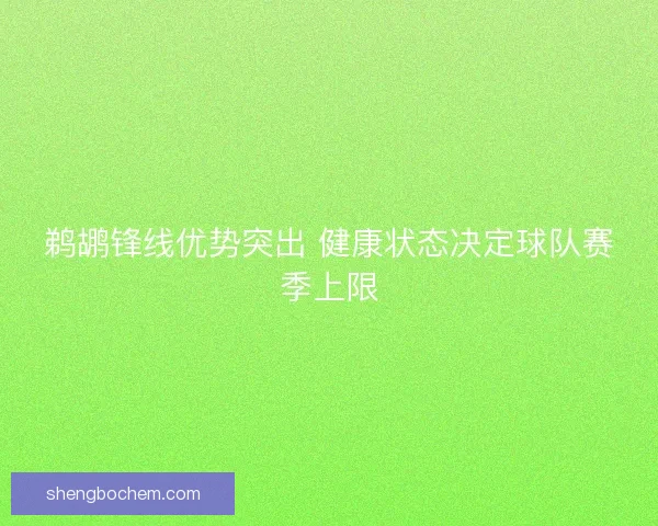 鹈鹕锋线优势突出 健康状态决定球队赛季上限