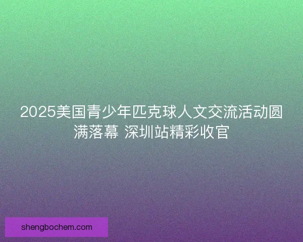 2025美国青少年匹克球人文交流活动圆满落幕 深圳站精彩收官
