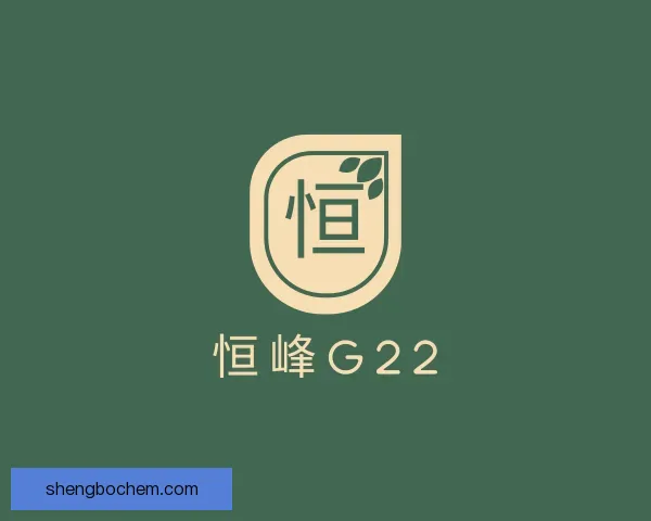 发现恒峰g22